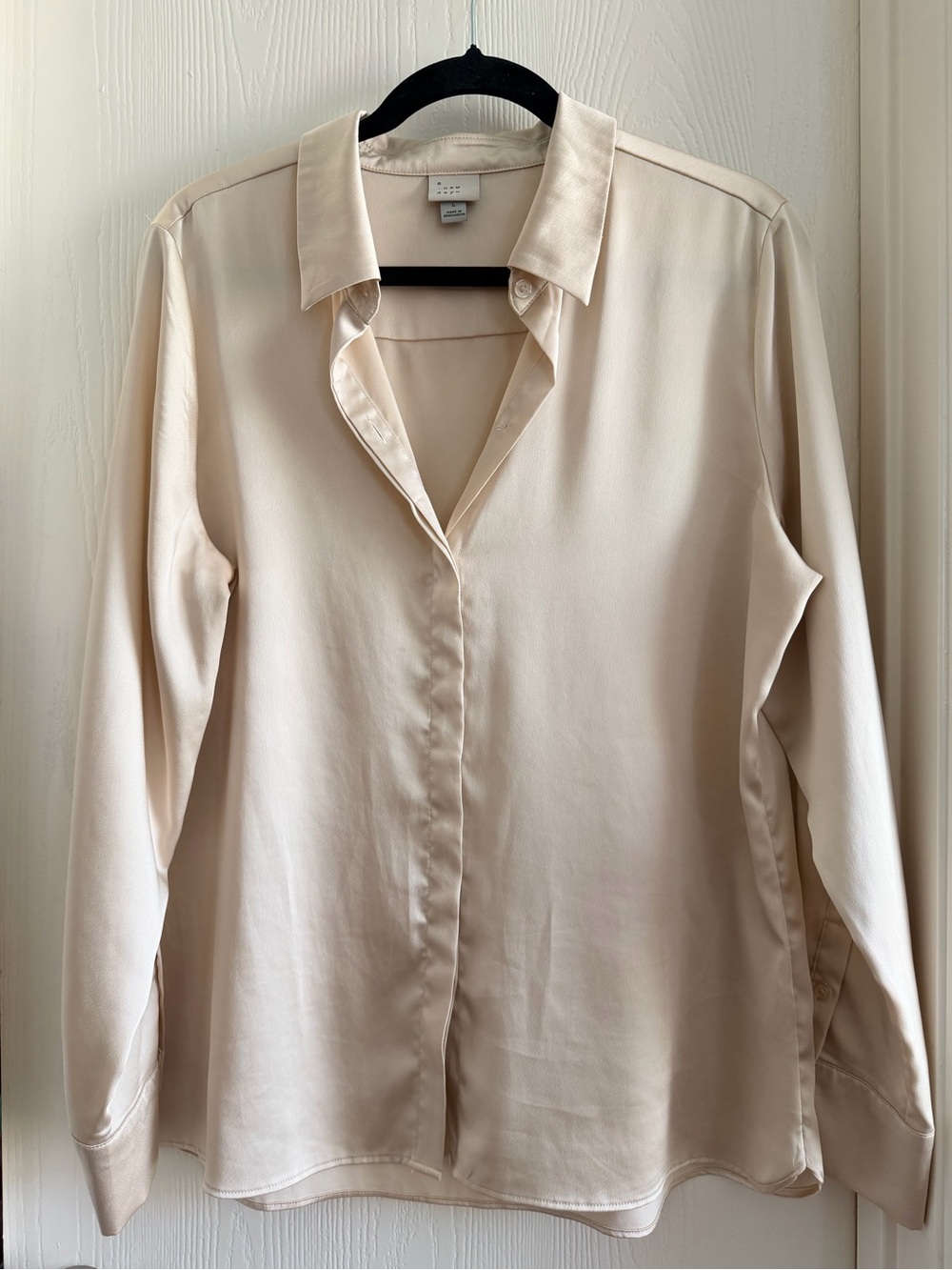 Classic champagne Button-Front Women's Blouse